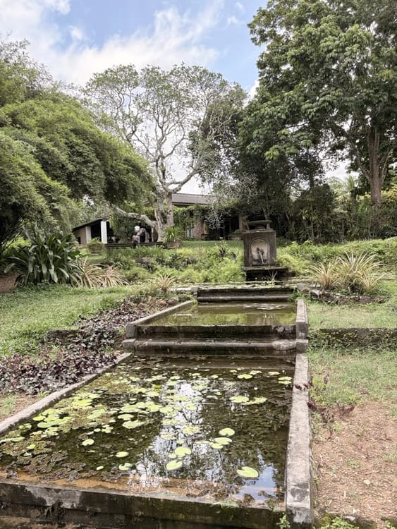 A narrow water channel and lily pond running down a green terrace towards a low house