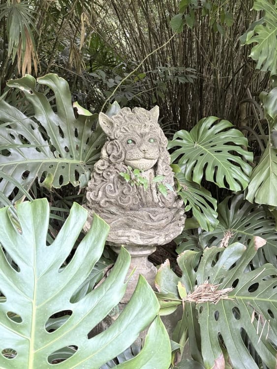 A moss-covered stone lion on a pedestal half swallowed by large monstera leaves