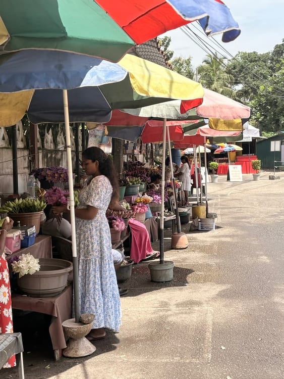 Roadside stalls under red umbrellas selling lotus blooms and flowers to worshippers