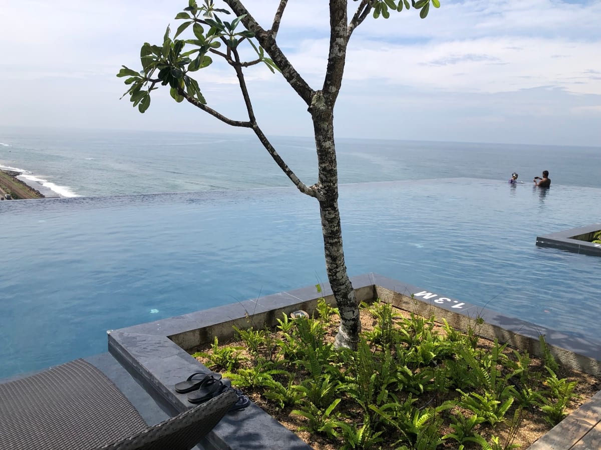 A rooftop infinity pool with planting along the edge looking out over the open sea
