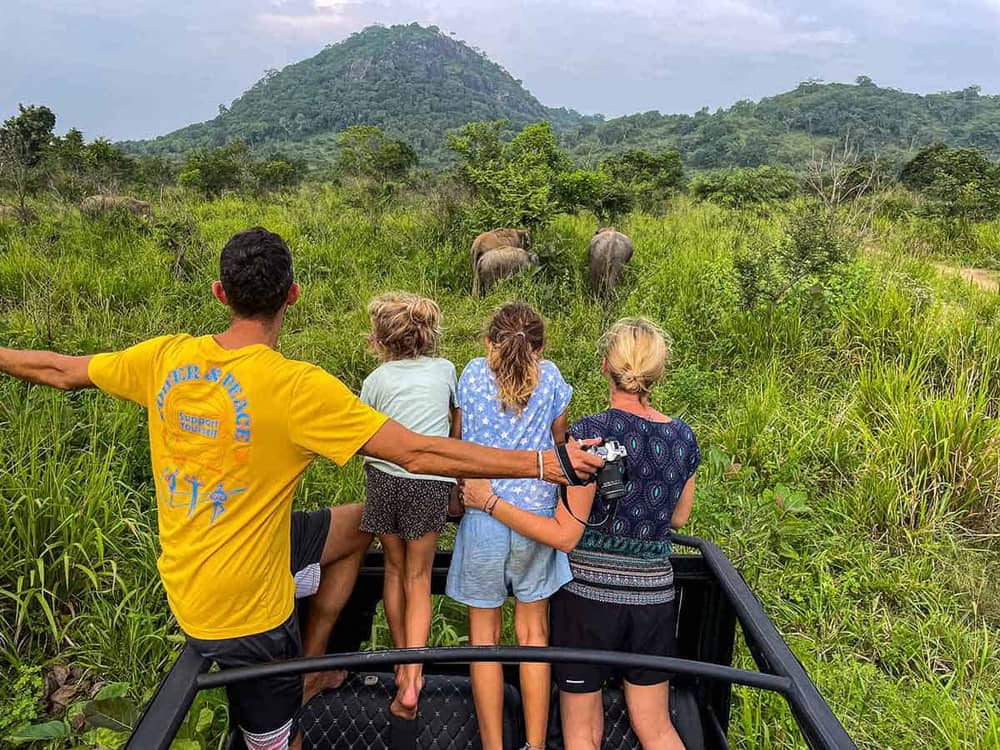 A family standing in a safari jeep watching elephants graze with a forested hill behind