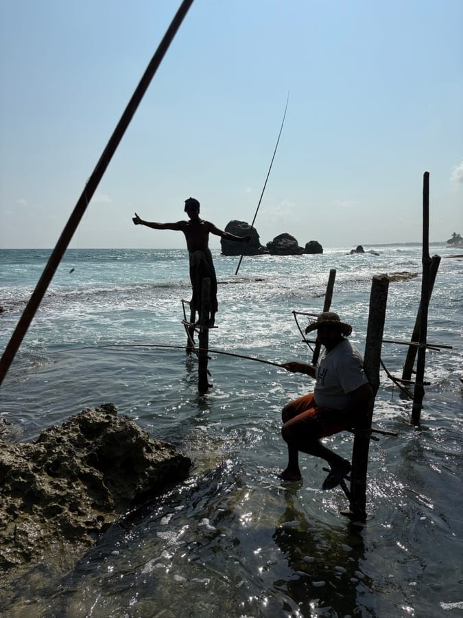 A stilt fisherman perched on a wooden pole above the shallows close to the shore