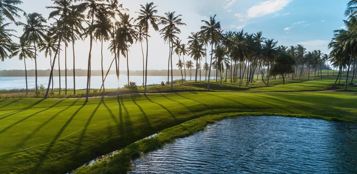 A fairway curving around a still lagoon, with palm shadows falling across the grass in early light