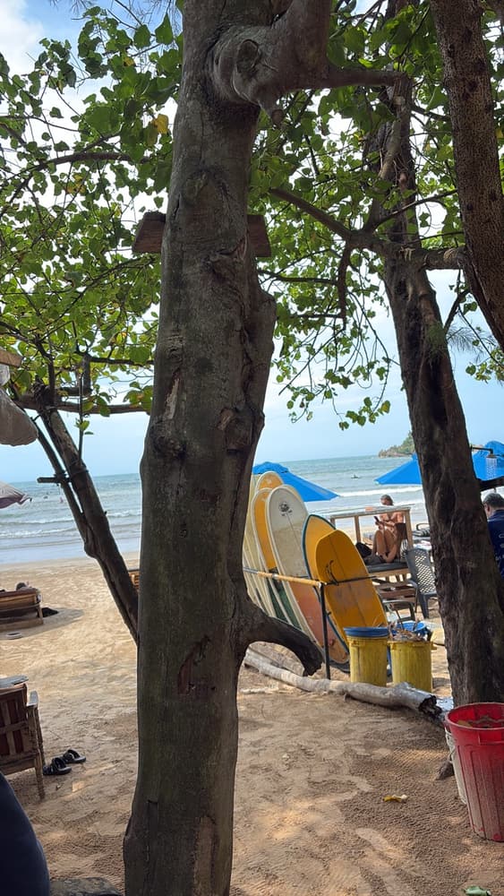 Surfboards leaning against trees at a beachfront rental shack near Hiriketiya