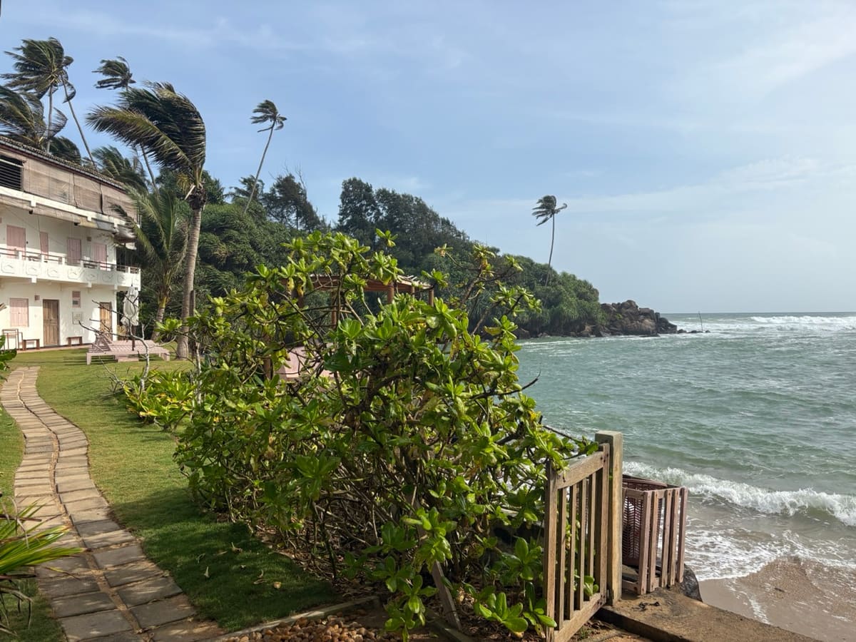 Empty curve of sand and breaking surf on a remote Tangalle beach backed by coconut palms
